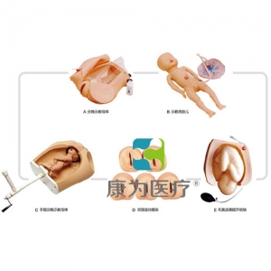 “康為醫(yī)療”高級腹部觸診、分娩機轉(zhuǎn)綜合模型