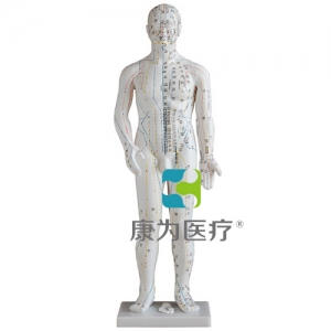 “康為醫(yī)療”人體針灸模型50CM