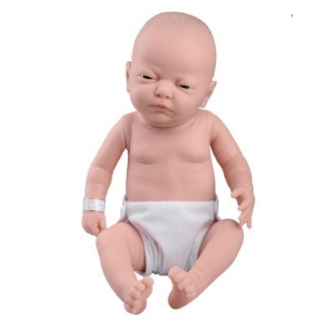 德國(guó)3B Scientific?嬰兒護(hù)理模型，女