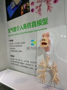 支氣管鏡介入高仿真模型，支氣管鏡介入模擬器