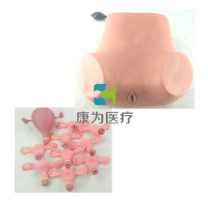 高級婦科綜合檢查模型(婦科雙合診、三合診檢查模型）