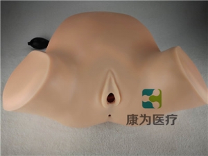 高端產(chǎn)科四步觸診、肛查、陰道檢查訓(xùn)練模型