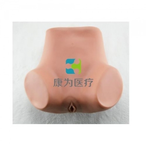 “康為醫(yī)療”子宮底檢查模型,產(chǎn)后子宮底評定、按摩訓練模型,子宮底檢查評定模型