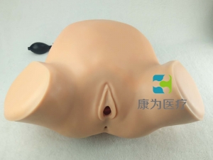 “康為醫(yī)療”婦產(chǎn)科四步觸診肛查陰道檢查監(jiān)測考核指導模型,高級腹部觸診、分娩機轉(zhuǎn)綜合模型