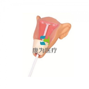 “康為醫(yī)療”高級宮內(nèi)避孕器訓練模型