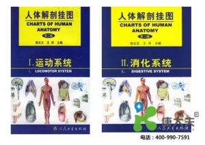 醫(yī)學(xué)教學(xué)彩色掛圖、軟件、光盤