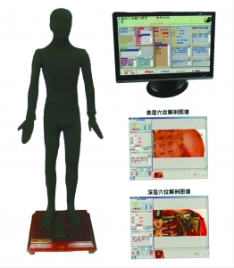 多媒體按摩點穴電子人體模型