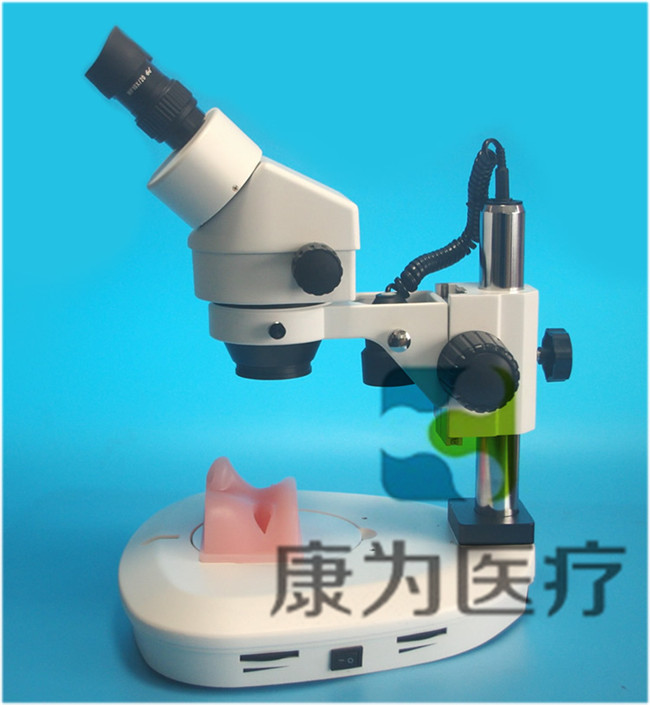 眼科顯微手術(shù)訓(xùn)練模擬器（視網(wǎng)膜、白內(nèi)障手術(shù)）