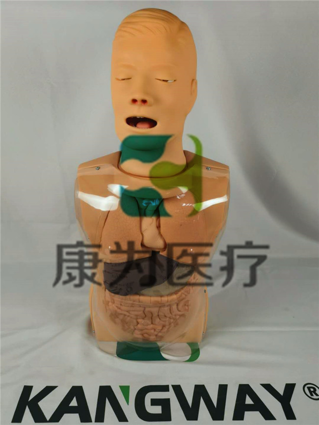 "康為醫(yī)療NM2319高級鼻淚管通液訓(xùn)練模型,淚道沖洗訓(xùn)練模型,淚道探通術(shù)訓(xùn)練模型