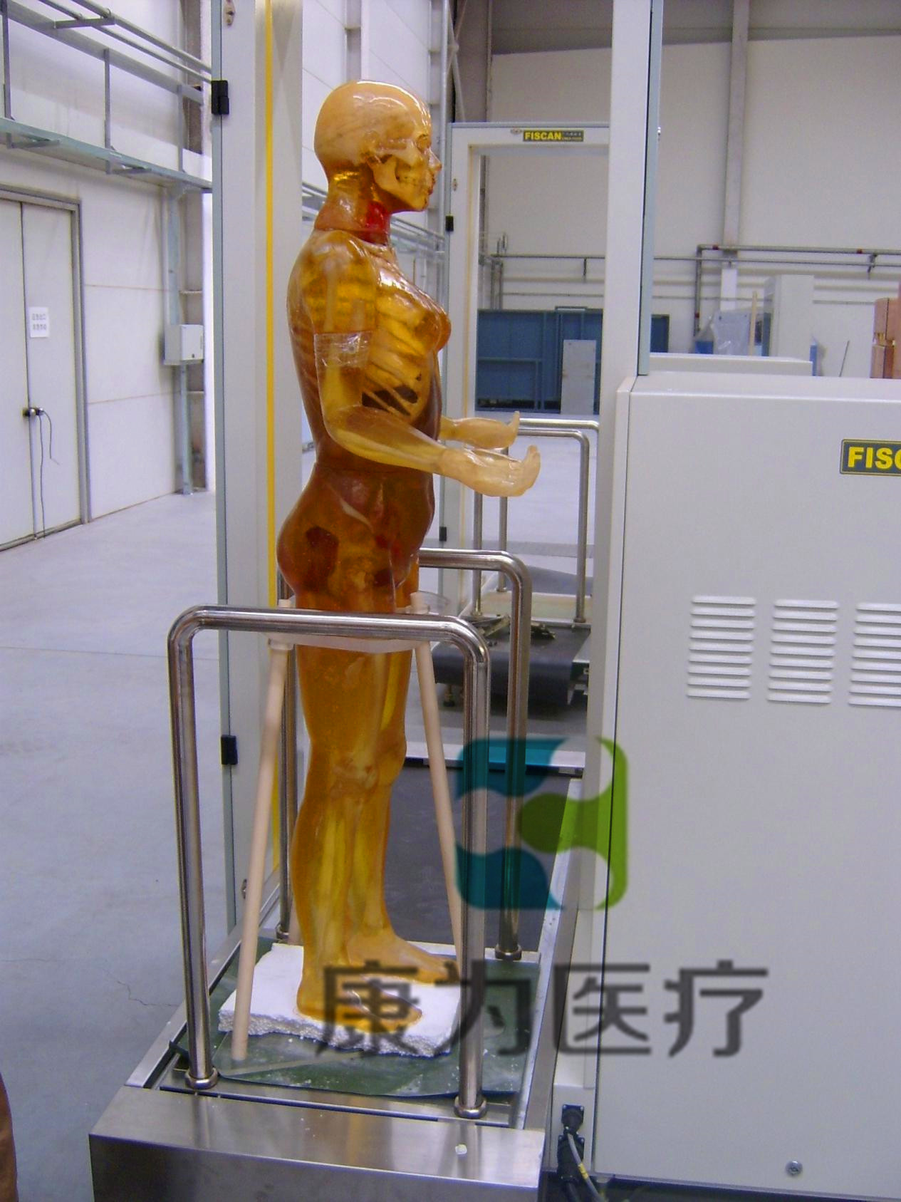 X線攝影定位用標準化模擬病人