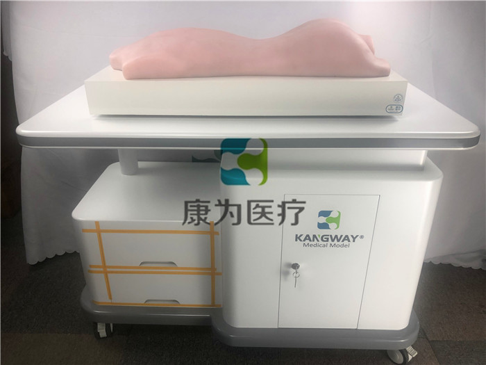 中醫(yī)拔罐、推拿、艾灸、刮痧、砭術(shù)技能訓(xùn)練模型
