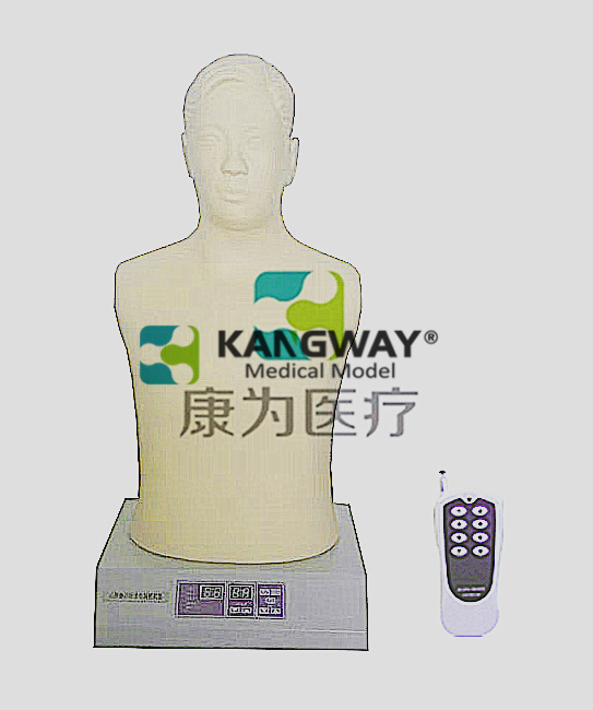 “康為醫(yī)療”無(wú)線遙控式心肺觸診聽(tīng)診電腦模擬器（男性人）